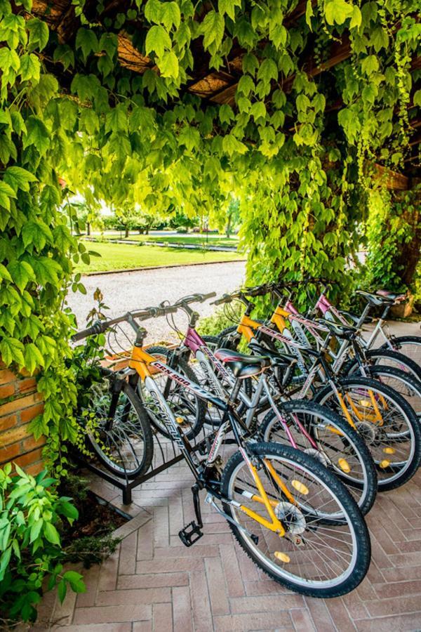 Agriturismo Tenuta Regina - Glamping Luxury Lodges And Apartments Palazzolo dello Stella Eksteriør bilde